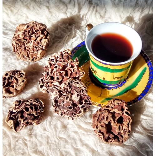 Foto Produk Sarang Semut ASLI Papua dari QueencyShopp