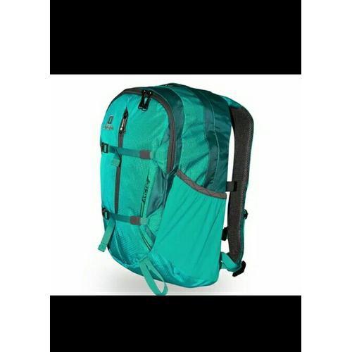 coleman daypack