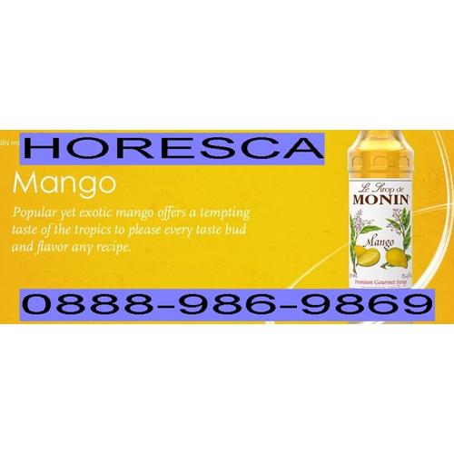 Foto Produk Mango Monin dari HoResCa