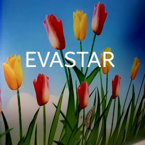 Jual 60cm Fiber Plat Tutup Pagar Plastik Motif Bunga Tulip Warna Per Lembar Jakarta Timur Evastar Multi Plastindo Tokopedia