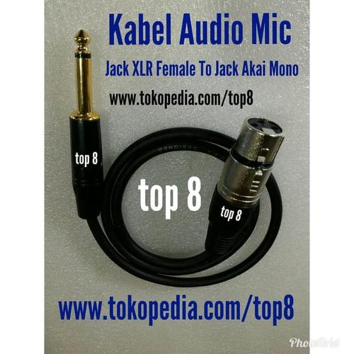 Jack XLR Female To Jack Akai Mono 