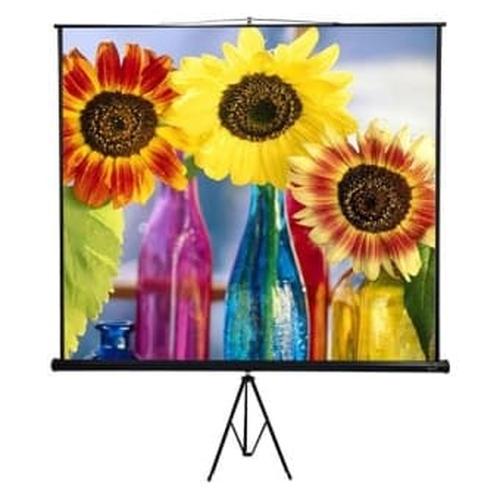 Foto Produk layar projector / Tripod Manual Screen 70" x 70" dari Jaya Mandiri comp