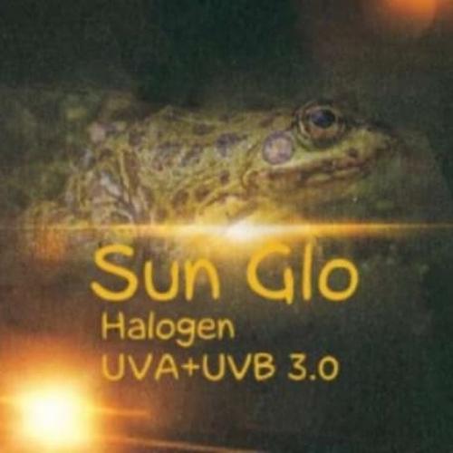 Foto Produk 25w Sun Glo Halogen UVA UVB dari mulia jaya tortuga
