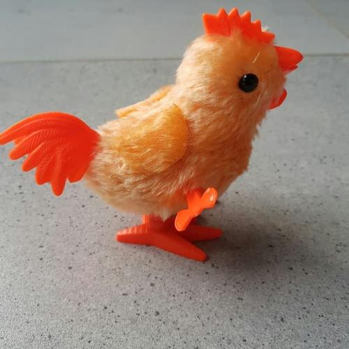5700 Gambar Hewan Anak Ayam Gratis