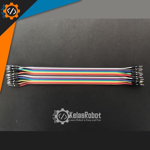 Foto Produk Kabel jumper MALE to MALE 20cm 20pin dari Kelas Robot