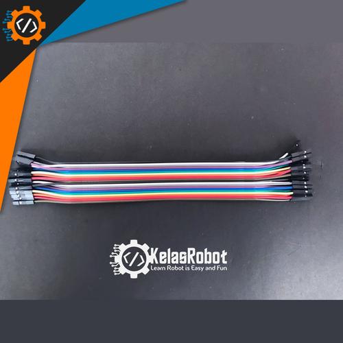 Foto Produk Kabel jumper Female-Female 20pin 20CM Berkualitas dari Kelas Robot