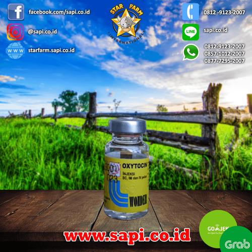 Foto Produk Star Farm BTM - Oxytocin obat Hormon pemacu kontraksi dari Star Farm