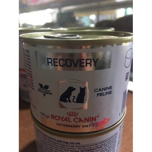 Foto Produk Royal Canin Recovery 195gram Canine Feline - Makanan Kucing - Cat Food dari Memang Pet Shop