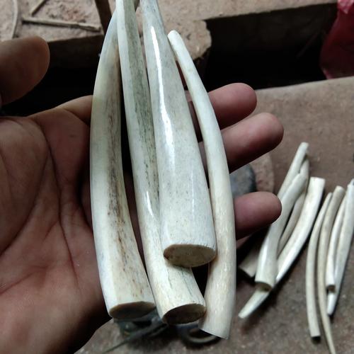 Gambar Pipa Rokok TULANG IKAN DUYUNG 14 cm dari UKM ISRN JEMBER TOP Kab. Jember Tokopedia
