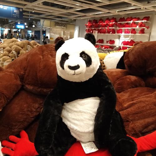 panda pillow costco