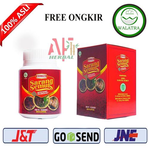 Foto Produk Jual Kapsul EKSTRAK Sarang Semut PAPUA ASLI 100 KAPSUL ORIGINAL dari Alfhafauzy herbal