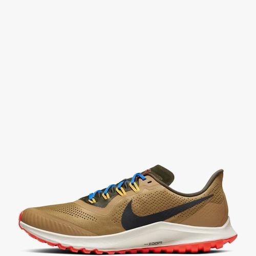 zoom pegasus 1