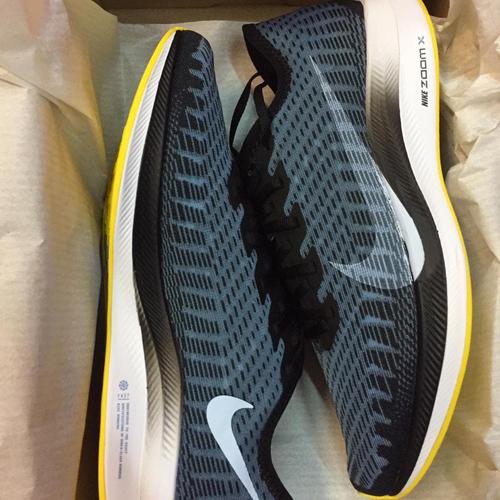 nike air zoom pegasus turbo 2 womens