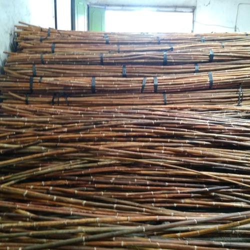 Jual Toya Rotan Manao Asli Alami Panjang 3 Meter Diameter 4 Cm Jakarta Pusat Nilla Rotan Tokopedia