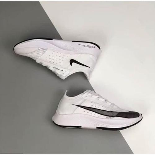 pegasus zoom fly