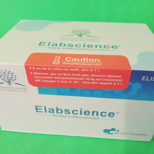 Jual Jual Rat LEP(Leptin) ELISA Kit Elabscience (EELR0582), Ready