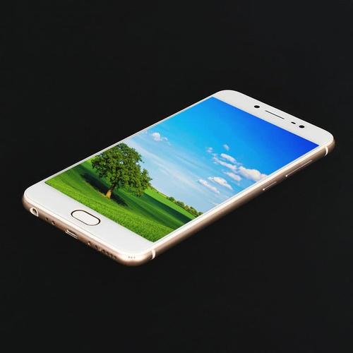 Foto Produk Smartphone vivo X7 dari rinol phone