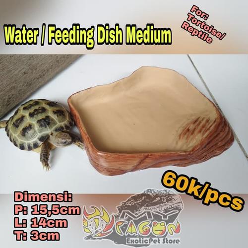 Foto Produk Reptile Water Dish Feeding Top Notch Dish Torto Tortoise Dish Re dari askanahana