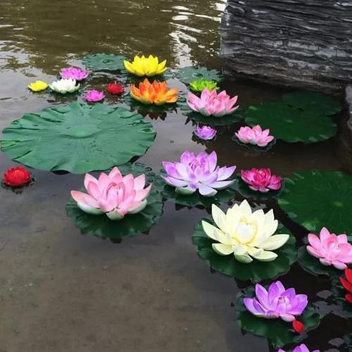 Jual Lotus Bunga Teratai Bahan Eva Palsu Tanaman Air Mengapung Kolam 18cm Jakarta Barat Salsabella Shop0 Tokopedia