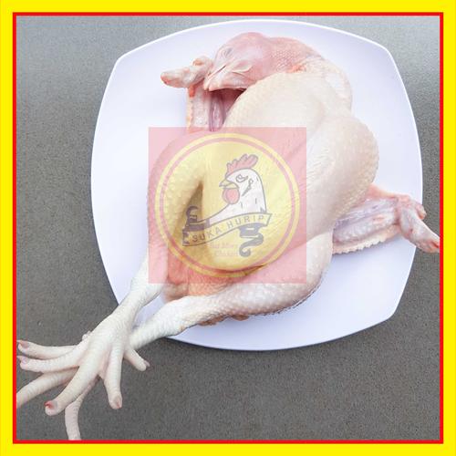 Jual Ayam Broiler Fresh Karkas Potong Berat 1kg Bandung Cimahi Kab Bandung Barat Rpa Sukahurip 