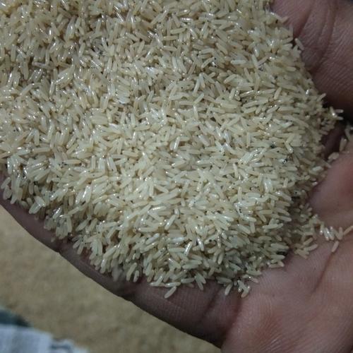 Jual Telur Jangkrik Alam 1kg Kab Tulungagung Rafael David Jual Telur Jangkrik Alam 1kg Kab Tulungagung Rafael David