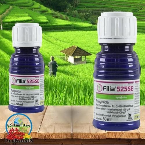 Jual Fungisida Untuk Mengatasi Blast Pada Tanaman Padi Filia 252se 50ml Kab Kediri Ud Panen Raya Tokopedia