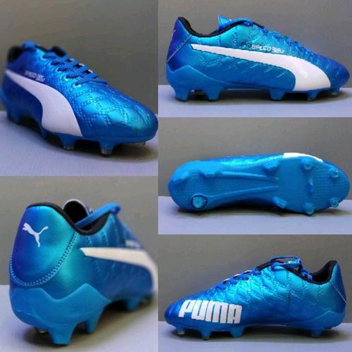 puma evospeed 2019