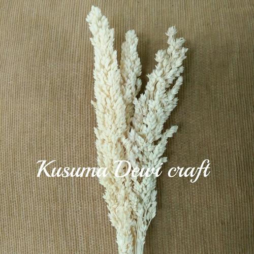 Foto Produk Bunga cantel putih dari Kusuma Dewi Craft