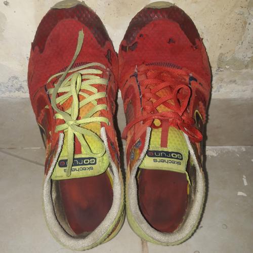 Jual SKECHERS GO RUN S limited edition 
