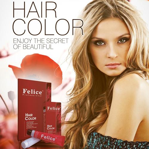 Foto Produk Felice Hair Color 22 Color/Pewarna Rambut/Cat Rambut dari Felice Beauty Store