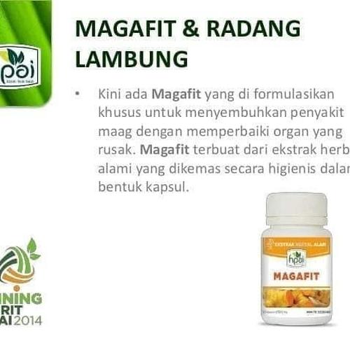 Foto Produk Megafit dari Azzahra Shope