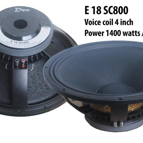 Jual Speaker 18 inch Enigma 18SC800 