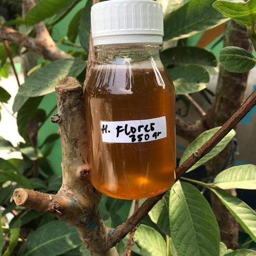 Foto Produk Madu asli hutan flores 350 gr dari Madu asli rafli berkah