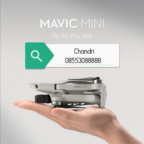 Foto Produk DJI Mavic Mini Basic -Surabaya Only- dari DJI Store Surabaya