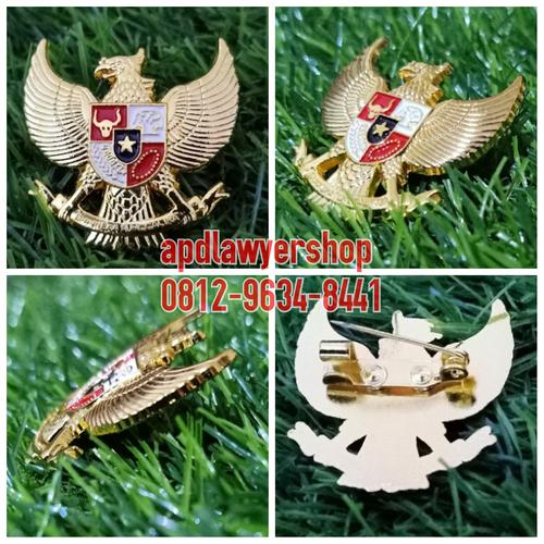 47 Gambar Burung Garuda Asli HD Terbaru