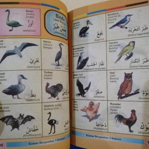 Jual Silahkan Di Order Kamus 3 Bahasa Arab Inggris Indonesia Lm Murah Jakarta Utara Rajabasa Store Tokopedia