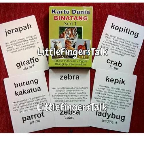 Jual Mainan Anak Sale Flash Card Dunia Binatang 1 Terbaik Jakarta Barat Tokomar9 Tokopedia