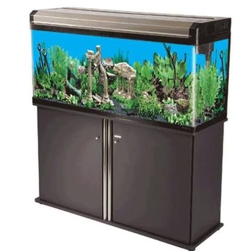 aquarium shop