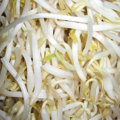 Jual Tauge 1kg Jakarta Barat Waroeng Baru Tokopedia