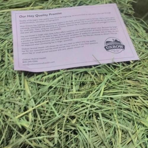 Foto Produk Makanan kelinci guinea pigs OXBOW Orchard hay 1kg Setara Rumpu Timothy dari gudang kelinci
