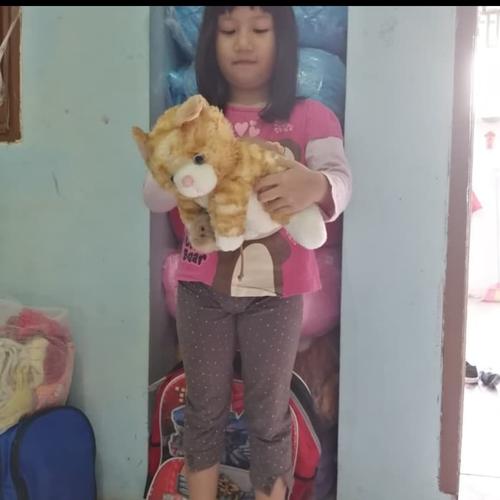 Foto Produk Boneka kucing cat kepala tikus import dari dunia boneka lucu