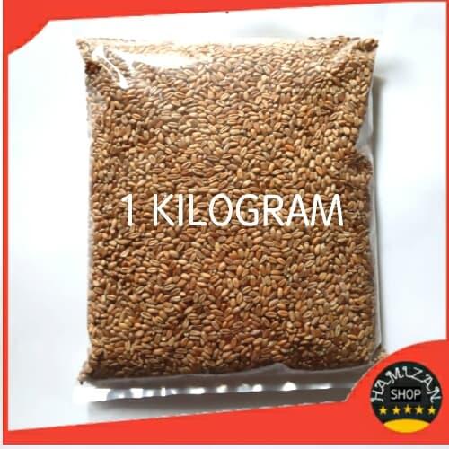 Foto Produk Catgrass Seed Import/Wheatgrass/Benih Rumput Gandum isi 1 kilogram - Kuning dari hamizan gandum