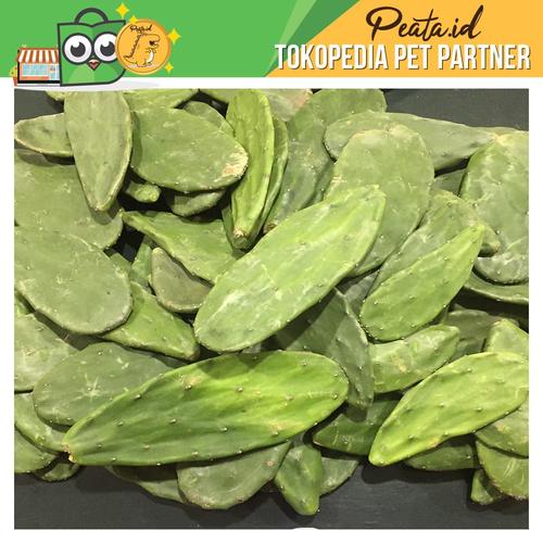 Foto Produk kaktus centong segar makanan kura torto tanaman hias 1kg dari Peata