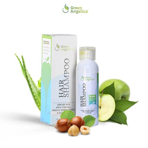 Foto Produk Shampo Rambut Rontok Agar Tumbuh Kembali Green Angelica Hair Shampo dari skinpedia.store
