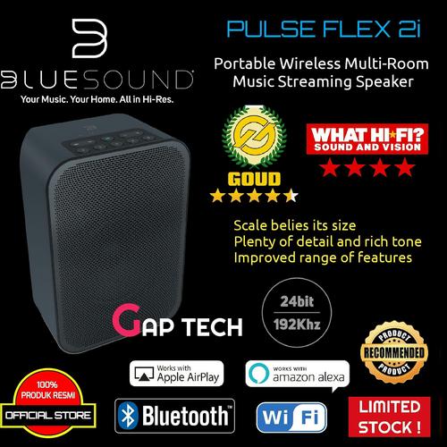 Jual Bluesound Pulse Flex 2i Portable 