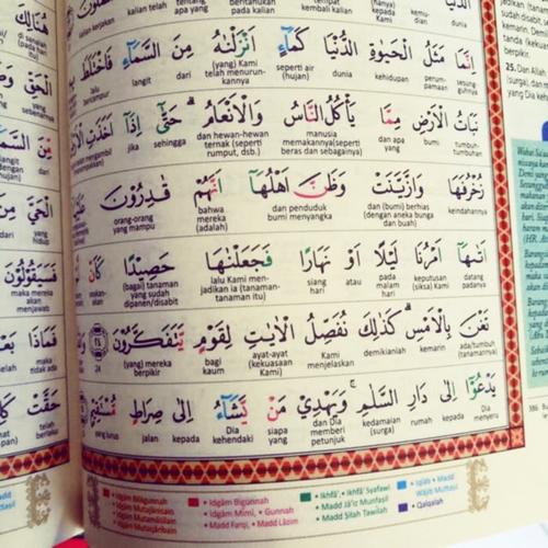 Jual Terlaris Al Quran Robbani A4 Besar Al Quran Perkata Tajwid Warna Jakarta Pusat Mamah Official Store Tokopedia