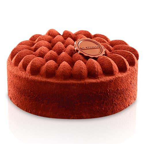 Gambar The Harvest Tiramisu 20 Round dari The Harvest Cakes Jakarta Selatan Tokopedia