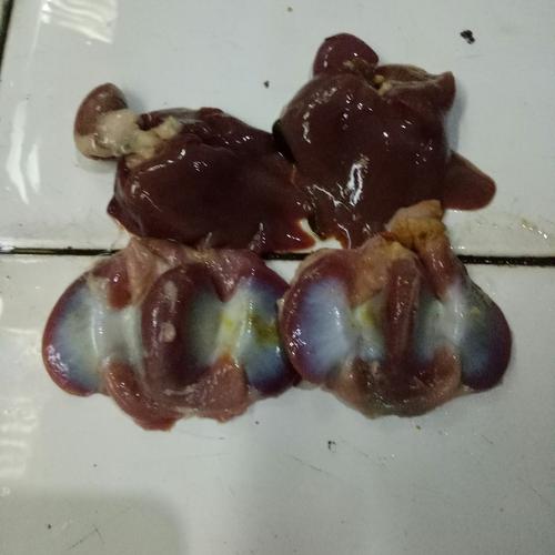 Gambar Ati Ampela Ayam Kampung dari ud.anugrah Jakarta Pusat Tokopedia