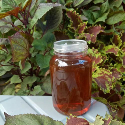 Foto Produk madu hutan kalimantan murni 1kg dari pusat madu hutan