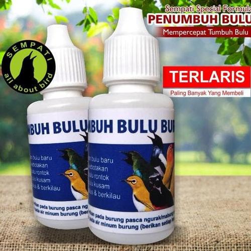 Jual Xp3 X Power Vitamin Burung Obat Burung Voer Burung Pakan Burung Kab Semarang Ryd Project Tokopedia